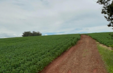 Fazenda para venda em Taquarituba